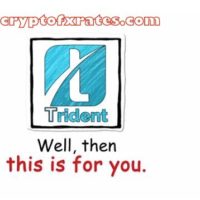 Trident TDC Crypto