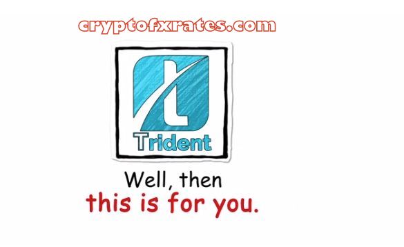 Trident TDC Crypto